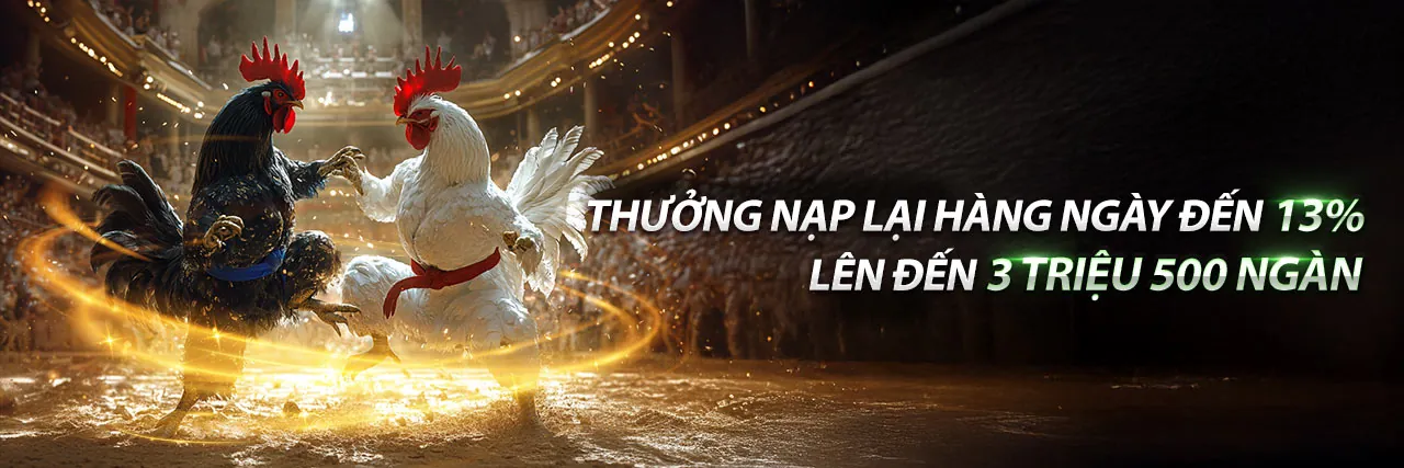 Khuyến mãi độc quyền tại 8xx bet