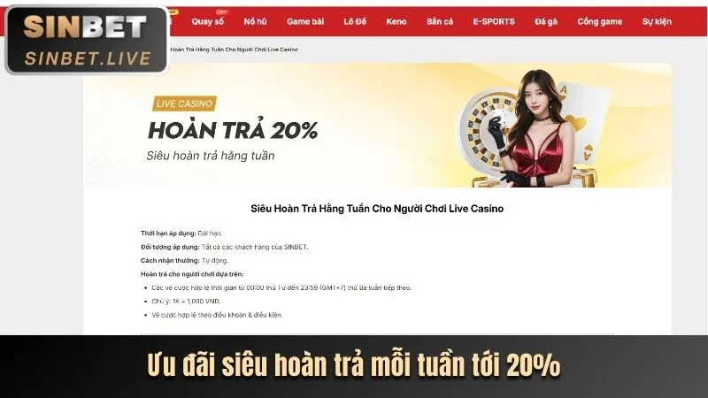 Hoàn trả casino 8xx bet